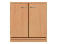 Schrank mit Doppeltür und 2 Fächern