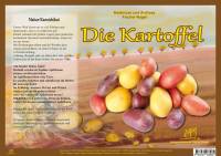 Natur-Kamishibai - Die Kartoffel